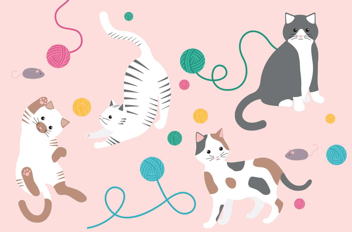 NOUVELLE COLLECTION MY LITTLE DAY : LA COLLECTION CHAT