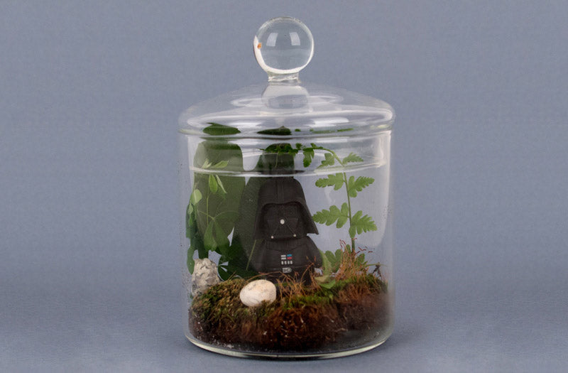 Idée decoration de table anniversaire garcon : terrarium star wars