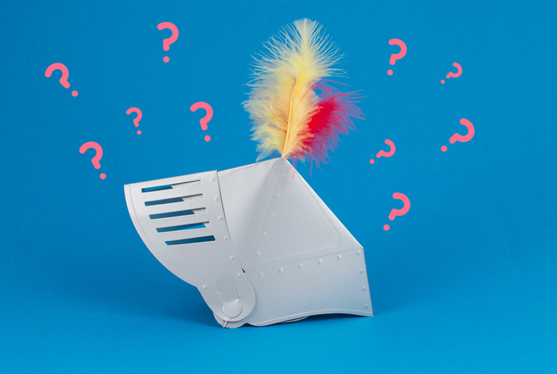 Idée animation anniversaire enfant : quiz chevalier