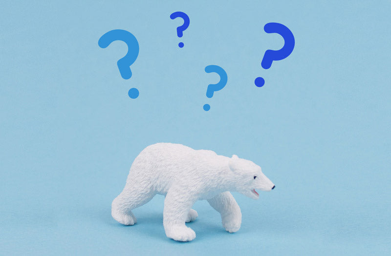 Quiz la reine des neiges pour animation anniversaire