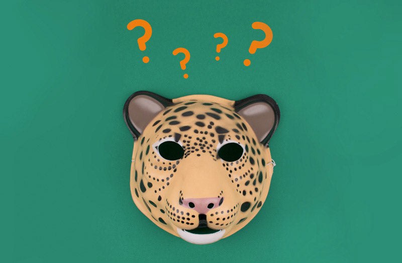 Quiz safari pour animation anniversaire enfant à thème