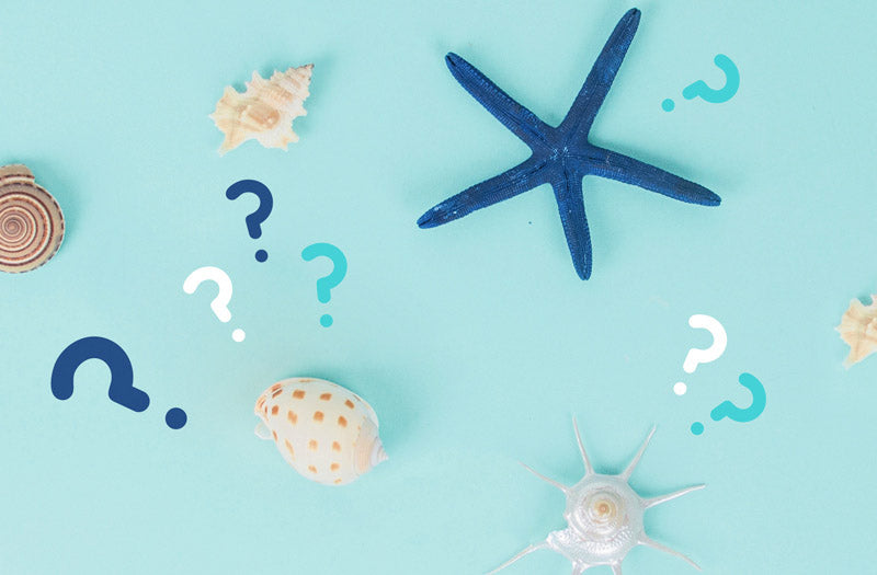 Idée animation anniversaire gratuite pour enfant : quiz vaiana