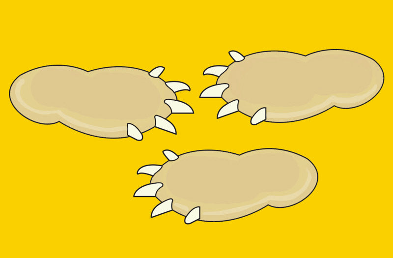 Idee recette anniversaire enfant safari : sables pattes lion