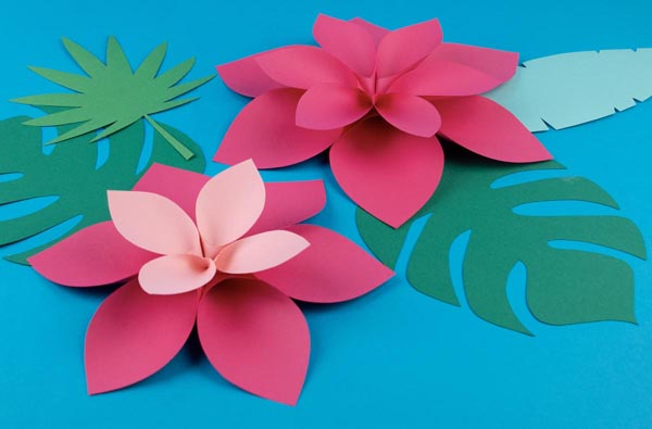 Anniversaire Encanto