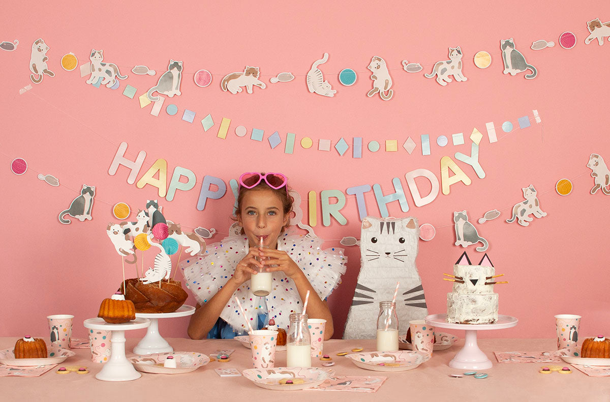 deco d'anniversaire chat