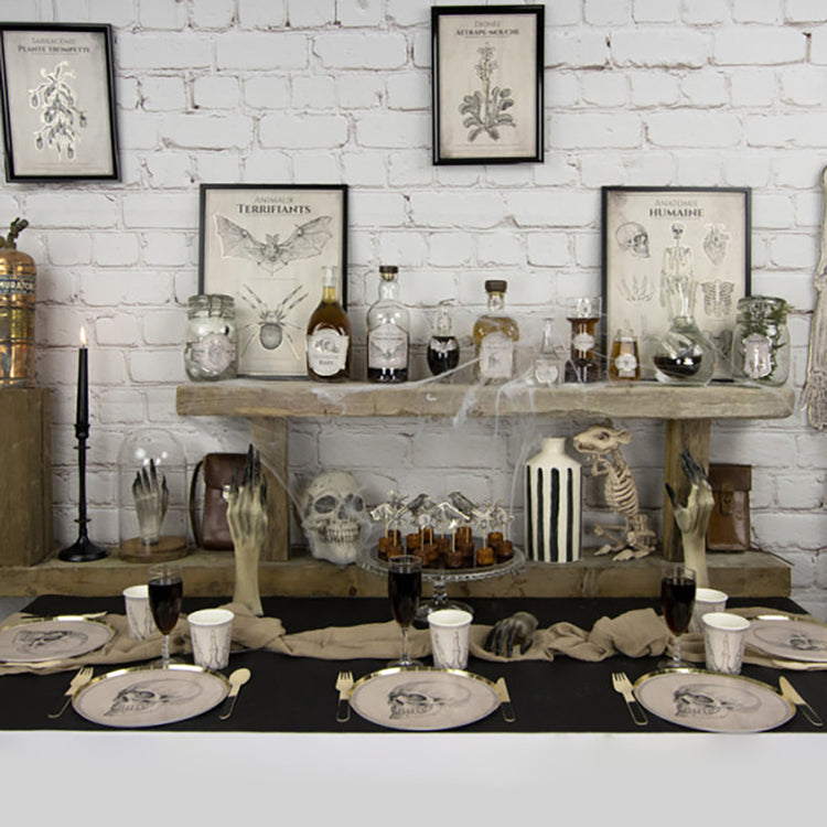 2 affiches anatomie animale - Décoration Halloween ludique