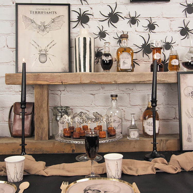 Décorations Halloween : 2 affiches d'anatomie animale