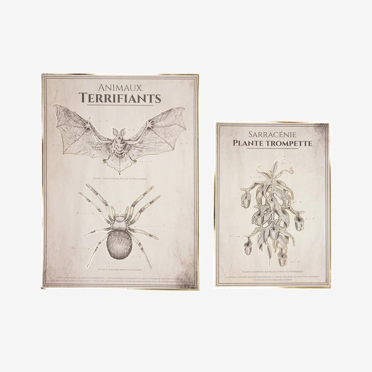 2 Affiches anatomie animale : idee cadeau Halloween original