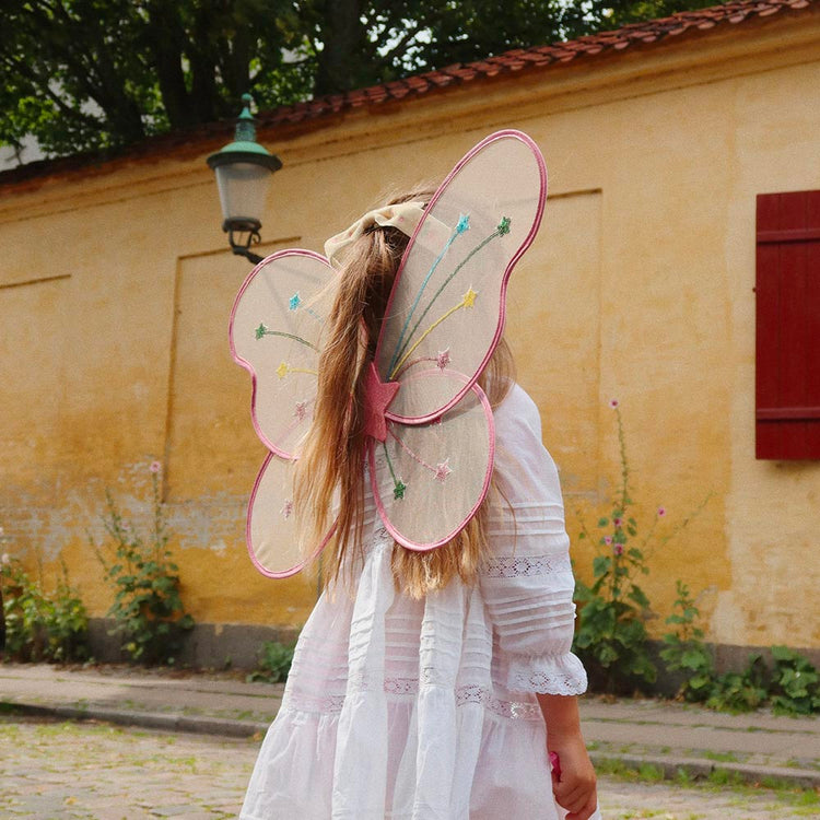 Ailes de fée : anniversaire papillon déguisement