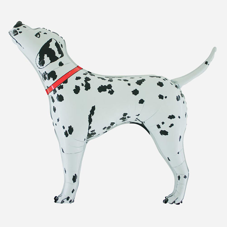 Anniversaire chien : ballon dalmatien made in Italy compatible hélium