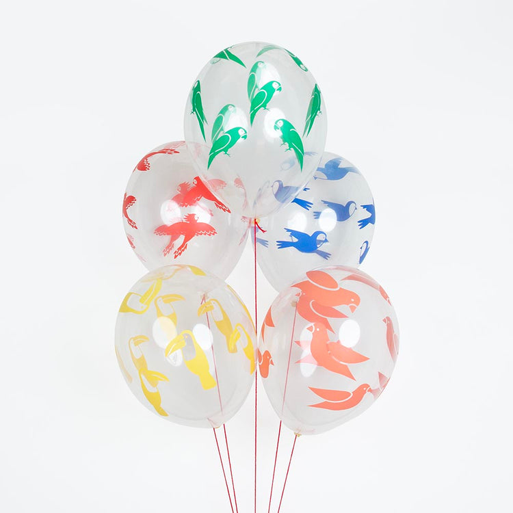 5 ballons de baudruche oiseaux tropicaux : deco anniversaire
