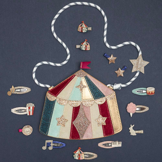 8 barrettes cirque glitter chapiteaux, lapin et lion