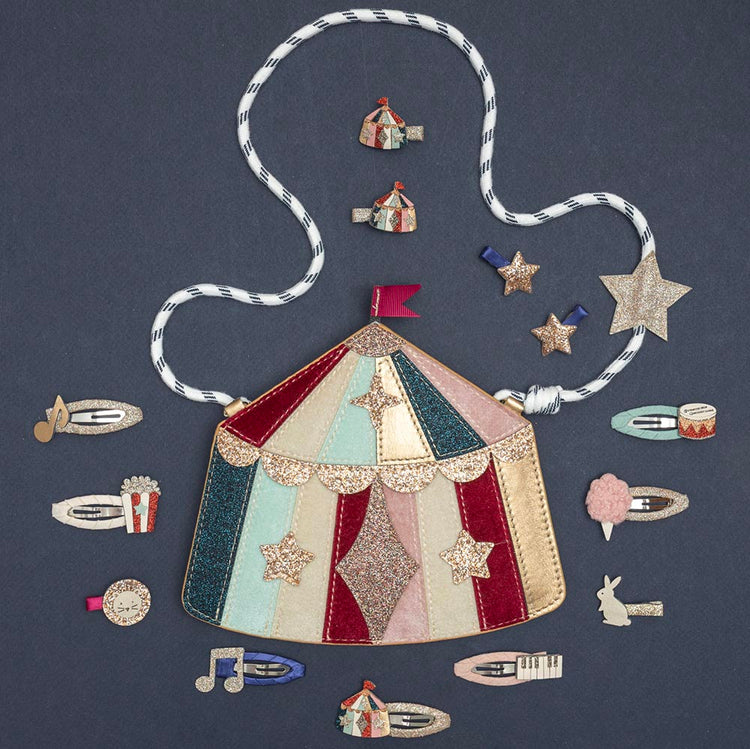 8 barrettes cirque glitter chapiteaux, lapin et lion