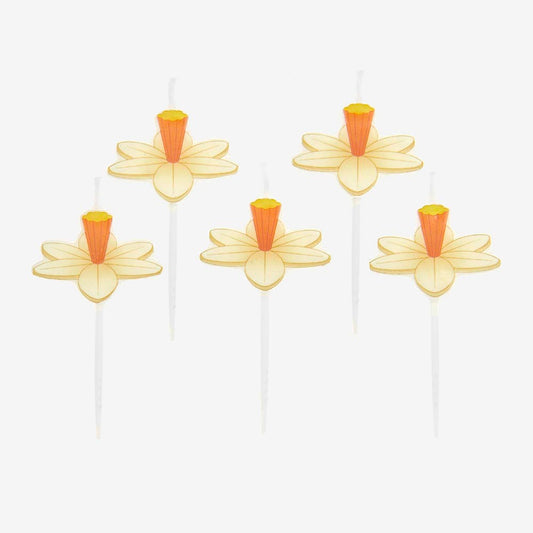 5 bougies anniversaire jonquilles : deco gateau champetre