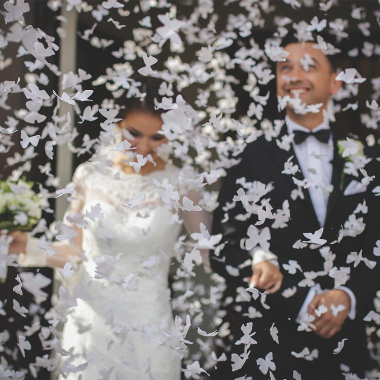 1 canon à confettis papillons blancs : accessoire mariage