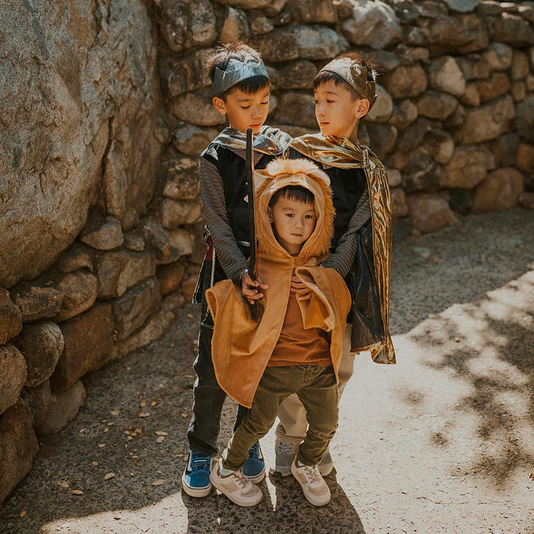 Déguisement Chevalier argenté - deguisement carnaval garcon