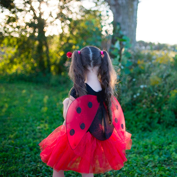 Déguisement coccinelle - idee cadeau anniversaire enfant