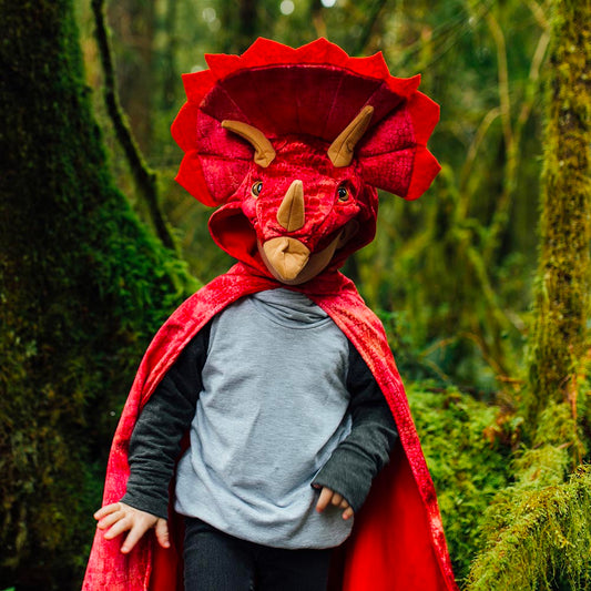 Déguisement de Triceratops - idee cadeau anniversaire dinosaure