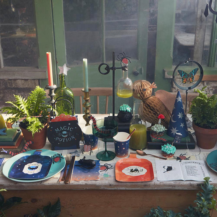 Assiettes en carton potion magique : deco de table anniversaire