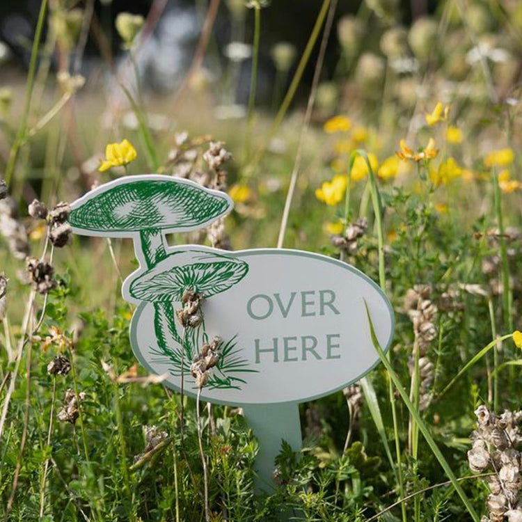 Kit chasse aux oeufs lapin vert : animation anniversaire enfant