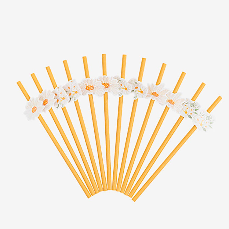 Pailles daisies, accessoires parfaits pour une fĂȘte champĂȘtre