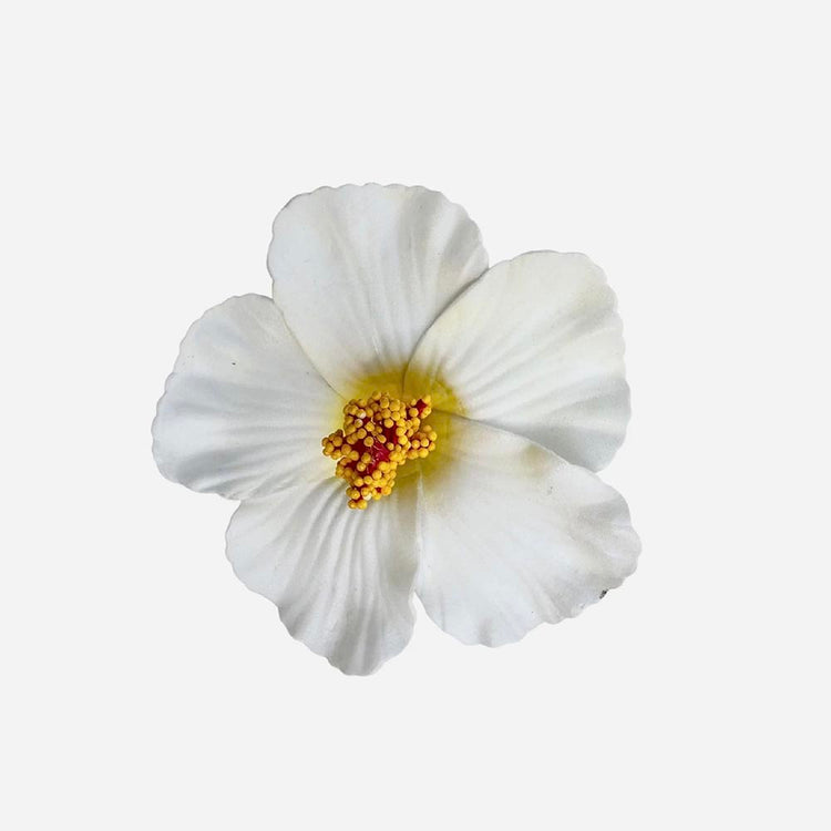 1 pince fleur hawaĂŻenne blanche : idee cadeau anniversaire adulte