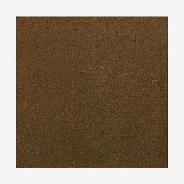 20 serviettes en carton chocolat : deco de table anniversaire cheval