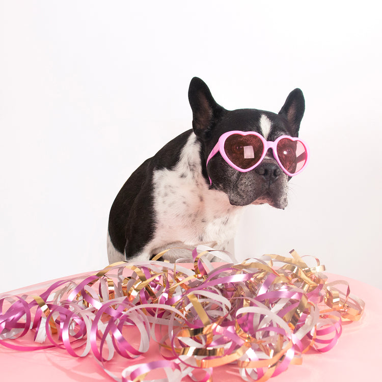 Photo chien à lunettes roses coeurs et serpentins roses et dorés.
