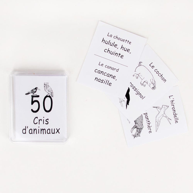 cartes animation anniversaire : le cri des oiseaux
