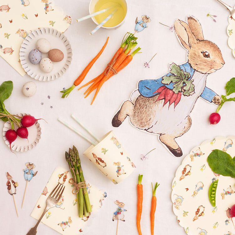 My little day : 12 assiettes forme Pierre Lapin pour décoration table fête