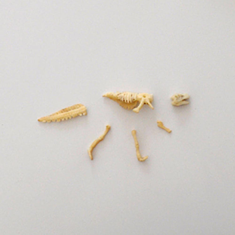 Dinosaure à déterrer : activité anniversaire à thème dinosaure