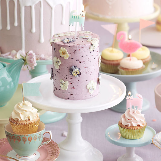 Décoration gateau anniversaire garçon : bougies chat thème animaaux