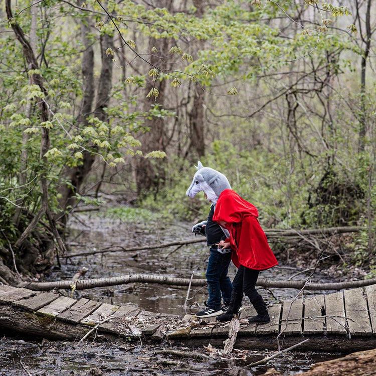 Anniversaire animaux de la forêt : déguisements loup et chaperon rouge