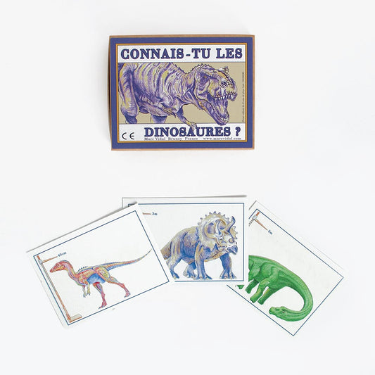 Cartes Connais-tu les dinosaures pour jeu ludique enfant à offrir