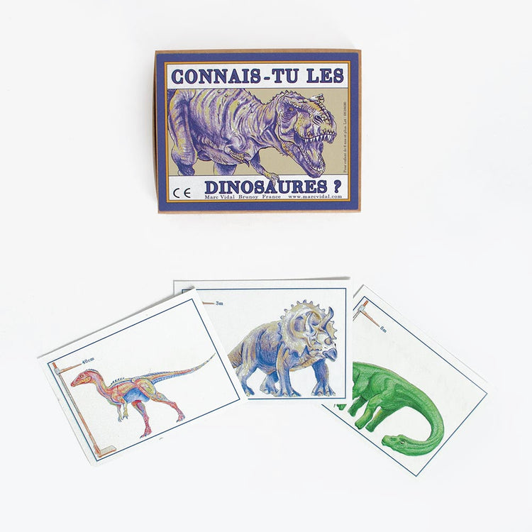 Cartes Connais-tu les dinosaures pour jeu ludique enfant à offrir
