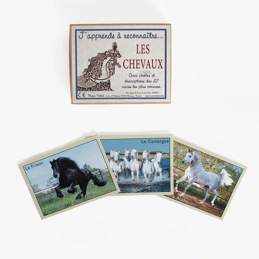 Cartes J'apprends à reconnaître les chevaux : jeu ludique enfant