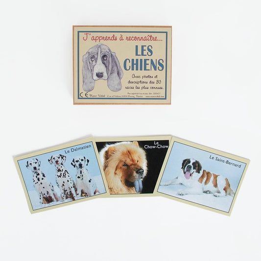 Cartes j'apprends à reconnaître les chiens pour jeu ludique enfant