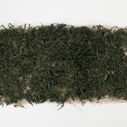 Chemin de table mousse végétale pour dresser table de mariage botanique