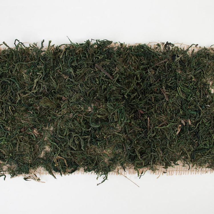 Chemin de table mousse végétale pour dresser table de mariage botanique