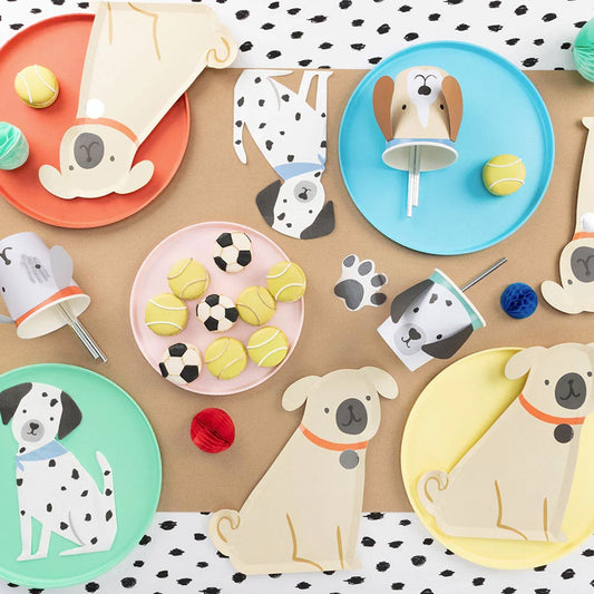 Assiettes en carton carlin pour decoration de table anniversaire 1 an