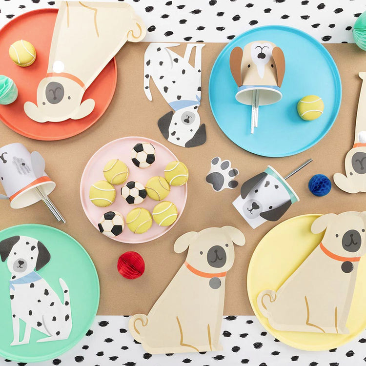 Assiettes en carton carlin pour decoration de table anniversaire 1 an