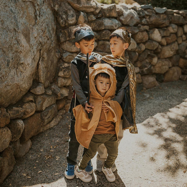 Déguisements garçon : chevaliers et lion par great pretenders