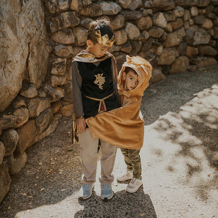 Deguisement chevalier et deguisemet lion pour anniversaire enfant