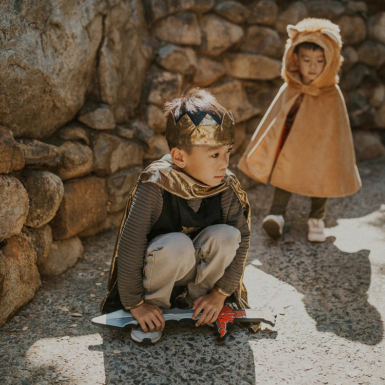 Déguisements anniversaire, carnaval : lion et chevalier par great pretenders