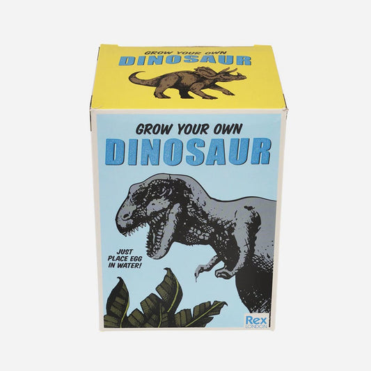 Oeuf dinosaure magique à planter : cadeau d'anniversaire garcon