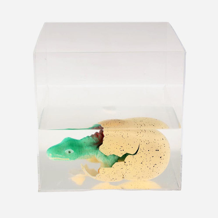 Idee cadeau anniversaire garcon original : oeuf dino magique à planter