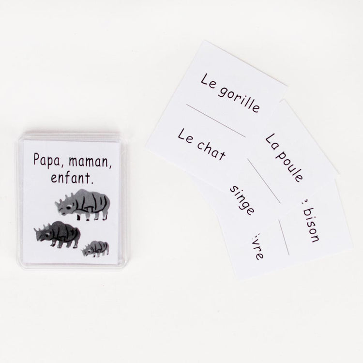 Activité anniversaire enfant: carte les familles d'animaux à découvrir