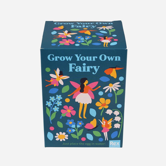 Oeuf fée magique à planter : cadeau d'anniversaire fille original