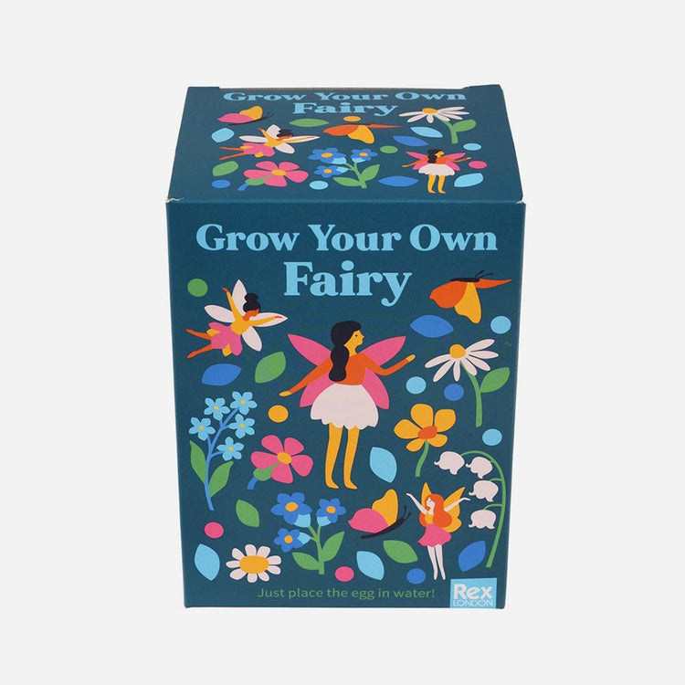 Oeuf fée magique à planter : cadeau d'anniversaire fille original