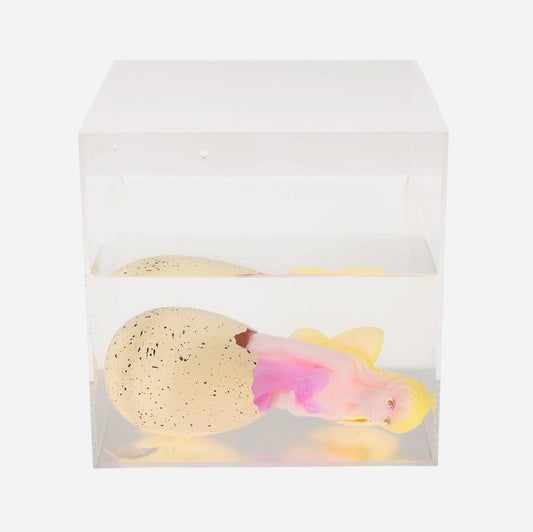 Idee cadeau anniversaire fille original : oeuf fée magique à planter